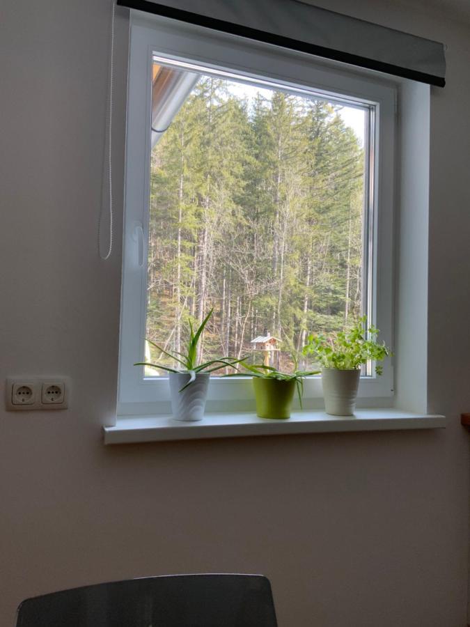 Apartments Traun-Haft Bad Aussee Exterior foto